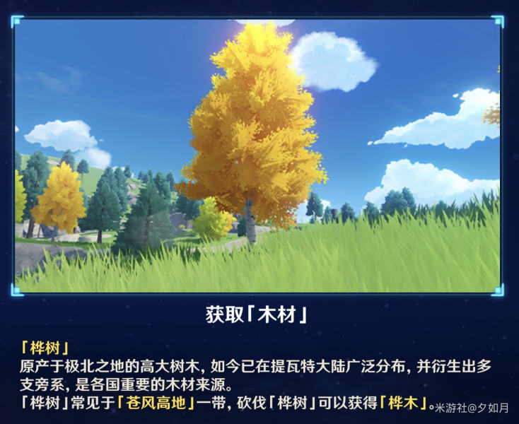 《原神》桦木采集位置分享
