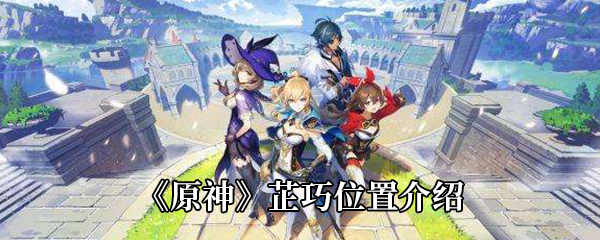 《原神》芷巧位置介绍