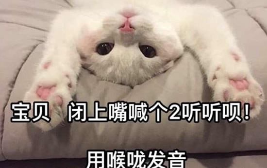 闭上嘴用喉咙说个2是什么梗