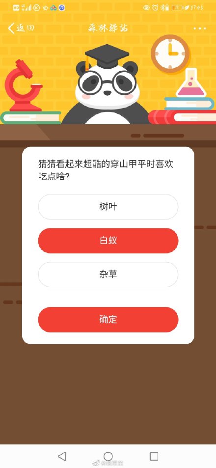 《微博》森林驿站猜猜看起来超酷的穿山甲平时喜欢吃点啥