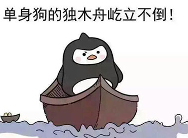 母单花是什么梗