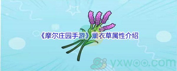 《摩尔庄园手游》薰衣草属性介绍