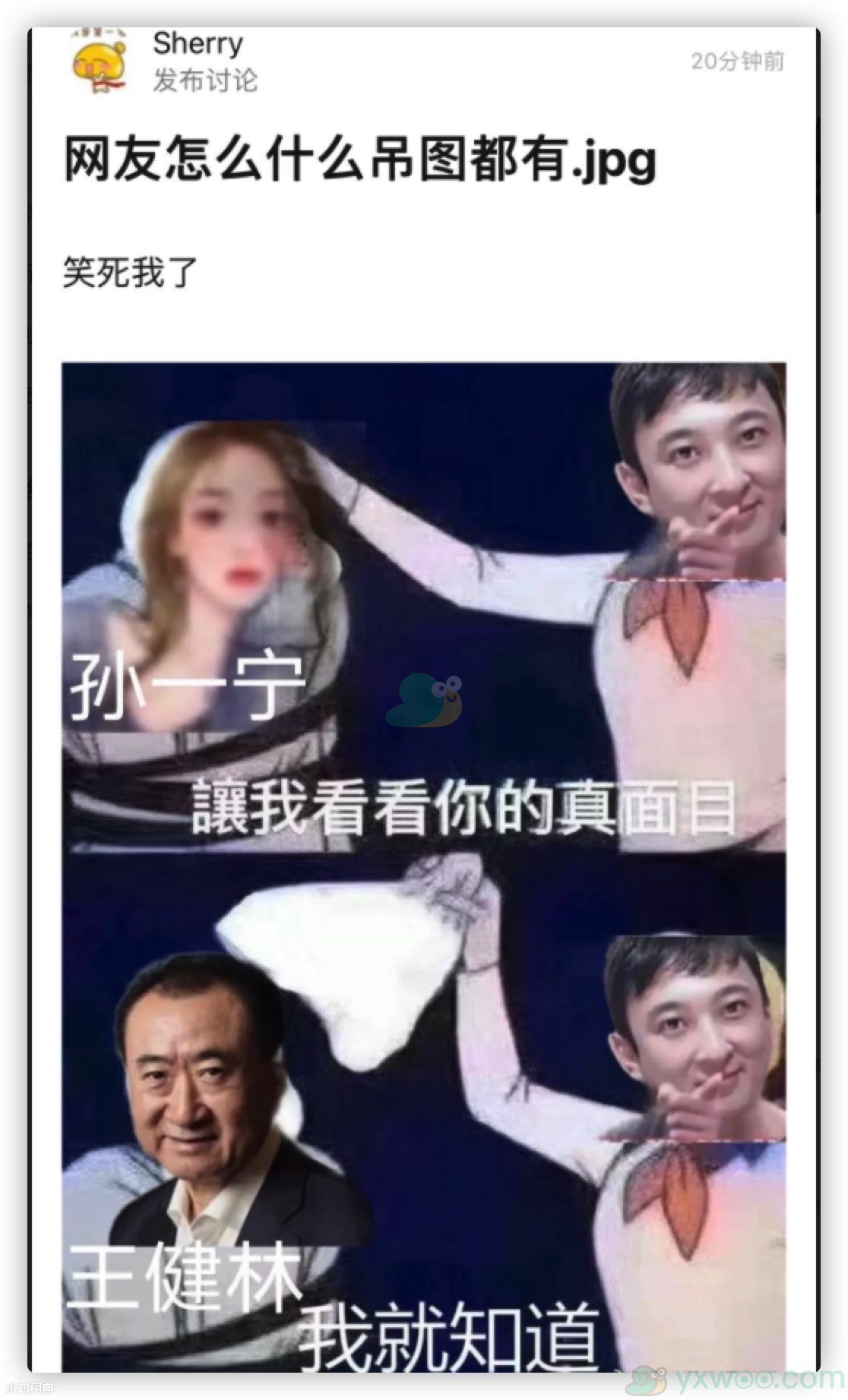 《新浪微博》孙健林是什么梗