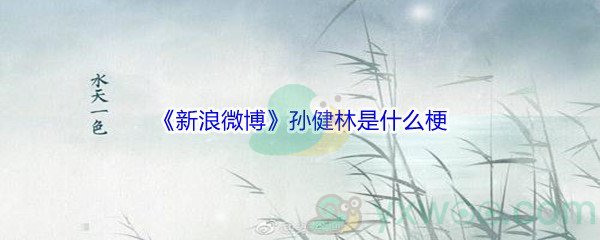 《新浪微博》孙健林是什么梗