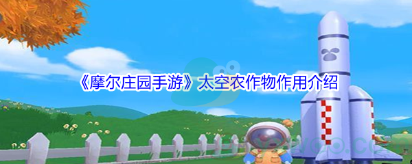 《摩尔庄园手游》太空农作物作用介绍