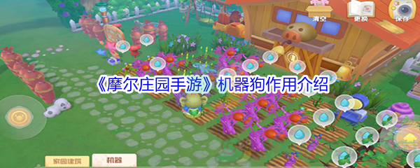 《摩尔庄园手游》机器狗作用介绍