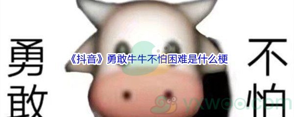 《抖音》勇敢牛牛不怕困难是什么梗