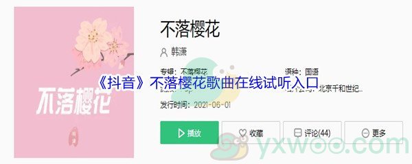 《抖音》不落樱花歌曲完整版在线试听入口