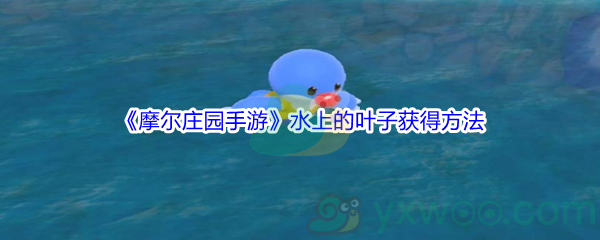 《摩尔庄园手游》水上的叶子获得方法介绍