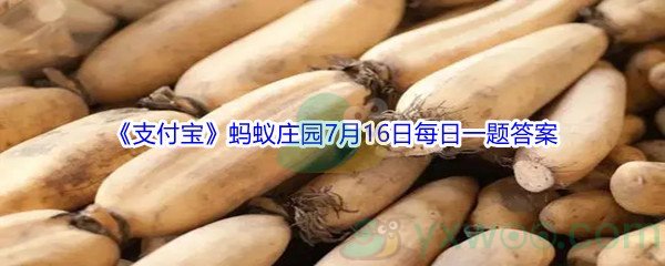 2021《支付宝》蚂蚁庄园7月16日每日一题答案