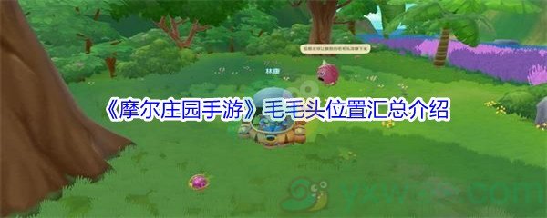 《摩尔庄园手游》毛毛头位置汇总介绍