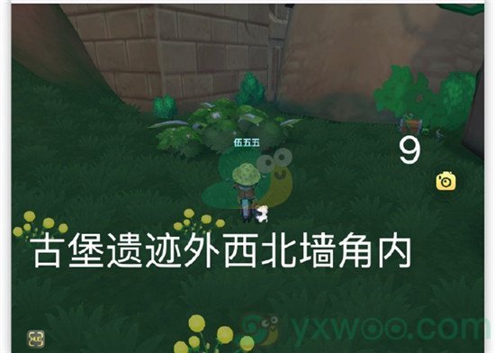 《摩尔庄园手游》7月20日黑森林宝箱位置介绍