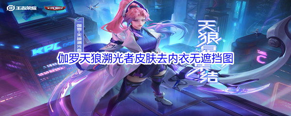 《王者荣耀》伽罗天狼溯光者皮肤去内衣无遮挡图