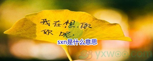 《抖音》sxn是什么意思