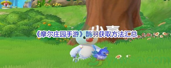 《摩尔庄园手游》鹊羽获取方法汇总介绍