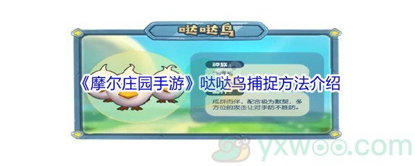 《摩尔庄园手游》哒哒鸟捕捉方法介绍
