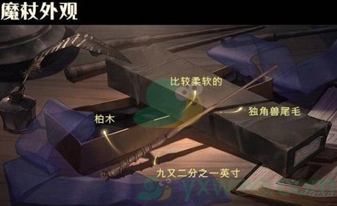 《哈利波特魔法觉醒》魔杖选择规则介绍