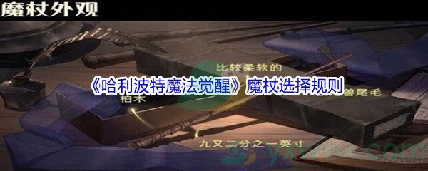 《哈利波特魔法觉醒》魔杖选择规则介绍