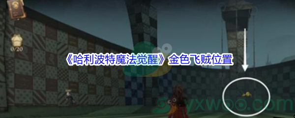 《哈利波特魔法觉醒》金色飞贼位置介绍