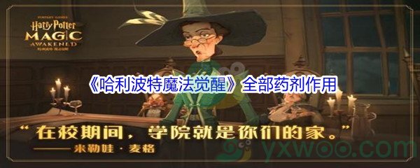 《哈利波特魔法觉醒》全部药剂作用效果介绍