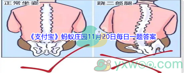 2021《支付宝》蚂蚁庄园11月20日每日一题答案(2)