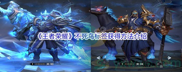 《王者荣耀》不死鸟标签获得方法介绍