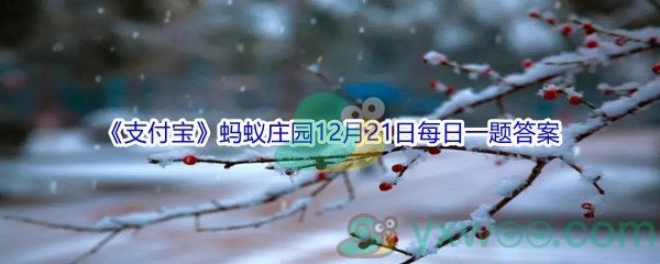 2021《支付宝》蚂蚁庄园12月21日每日一题答案(2)