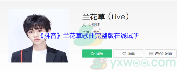 《抖音》兰花草歌曲完整版在线试听入口