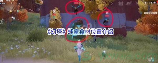 《幻塔》蜂蜜食材位置介绍