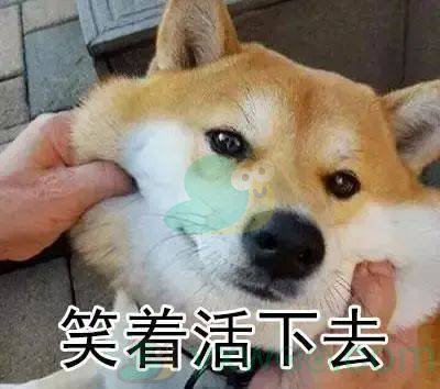 2022《支付宝》蚂蚁庄园2月11日每日一题答案(2)