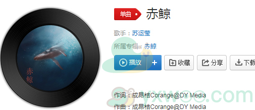 《抖音》赤鲸歌曲完整版在线试听入口