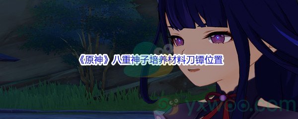 《原神》八重神子培养材料刀镡位置