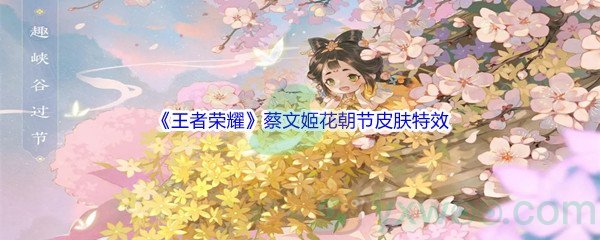 《王者荣耀》蔡文姬花朝节皮肤特效展示