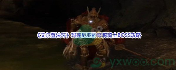 《艾尔登法环》玛莲尼亚的尊腐骑士BOSS打法攻略