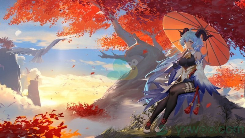 《原神》以下哪一种花卉不是蒙德的特色植物问题答案分享