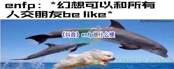 《抖音》enfp是什么梗