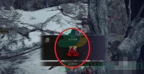 《艾尔登法环》责罚荆棘魔法获得方法介绍