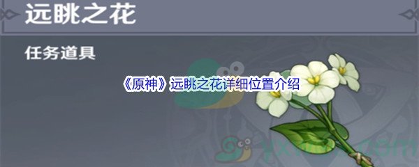 《原神》远眺之花详细位置介绍