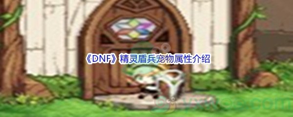 《DNF》精灵盾兵宠物属性介绍