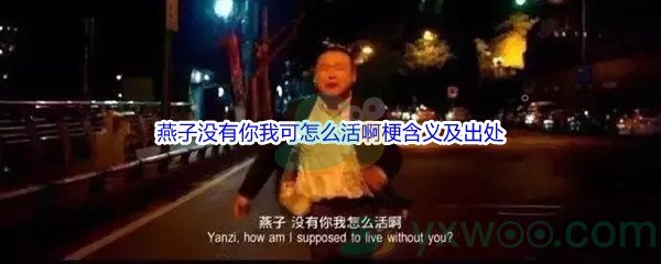 燕子没有你我可怎么活啊是什么梗