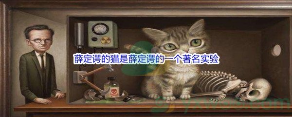 《哔哩哔哩》薛定谔的猫是薛定谔的一个著名实验，其不涉及的问题是