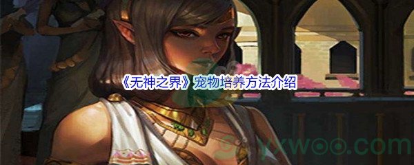 《无神之界》宠物培养方法介绍