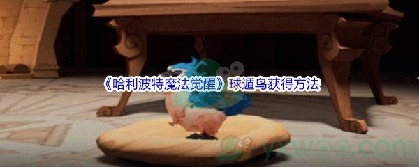 《哈利波特魔法觉醒》球遁鸟获得方法介绍
