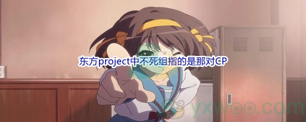 《哔哩哔哩》东方project中不死组指的是那对CP