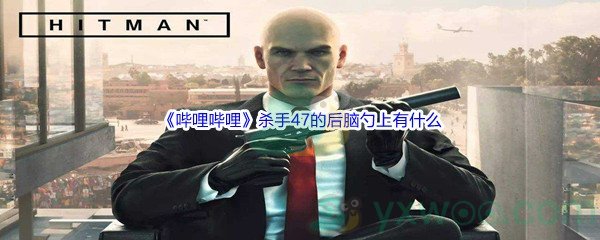 《哔哩哔哩》杀手47的后脑勺上有什么