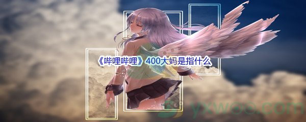 《哔哩哔哩》400大妈是指什么