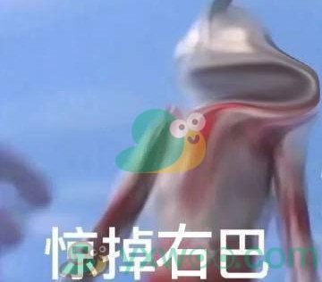 心巴是什么梗