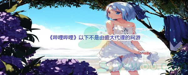 《哔哩哔哩》以下不是由盛大代理的网游