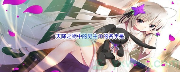 《哔哩哔哩》天降之物中的男主角的名字是