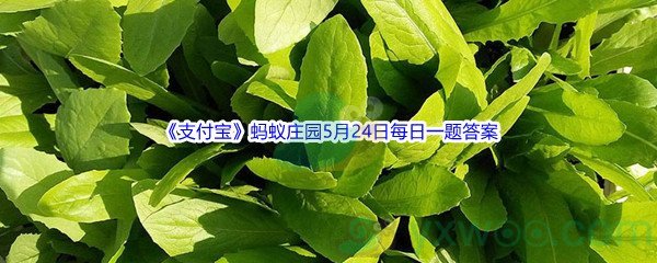 2022《支付宝》蚂蚁庄园5月24日每日一题答案